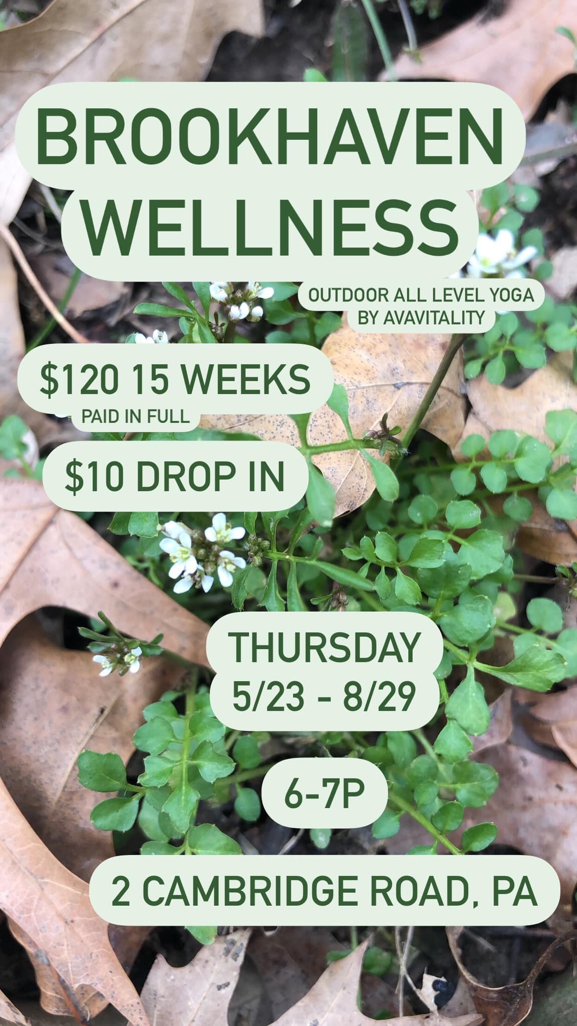 Free Yoga Class with Club Studio